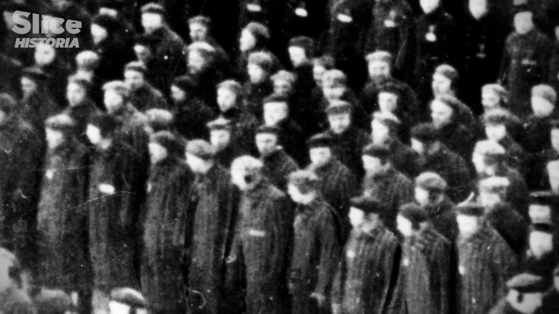 Documental De Dachau A Auschwitz